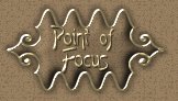 Point of Focus