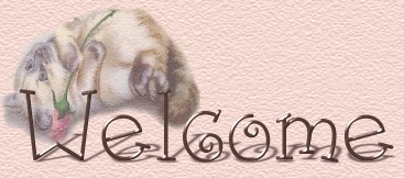 header