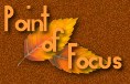 Point of Focus Graphics